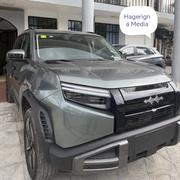 New BYD Leopard 3 2025 Gray for sale