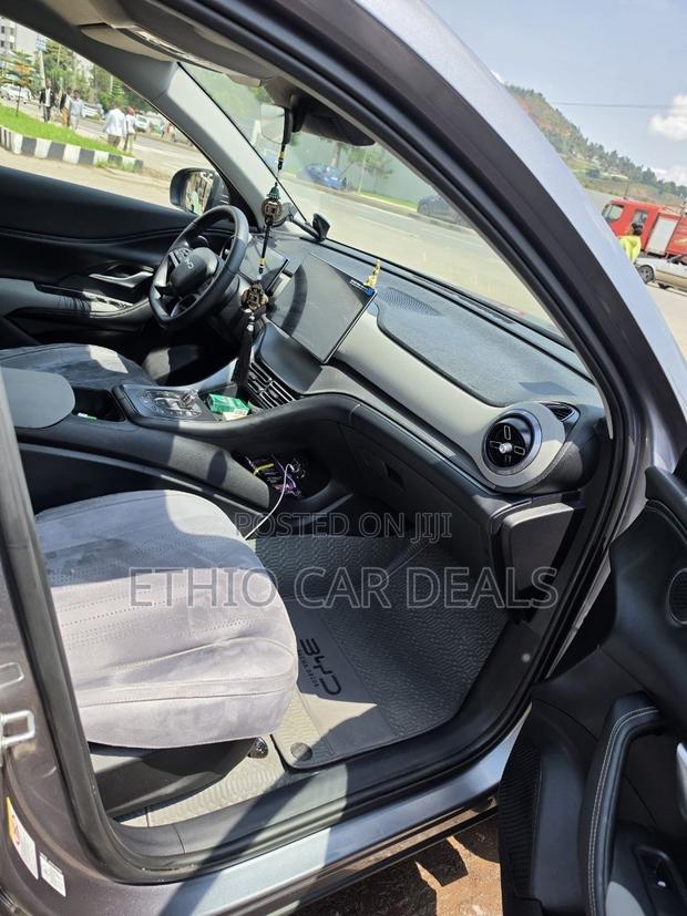 BYD Sealion 06 EV 2025 Gray