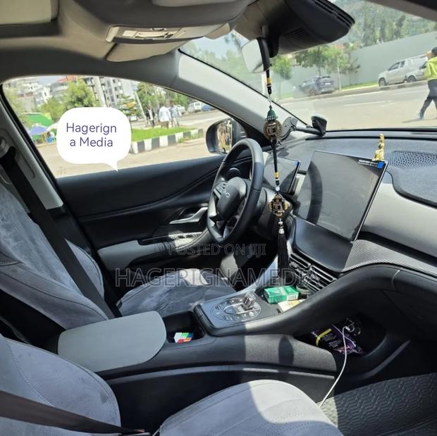 BYD Sealion 06 EV 2025 Gray