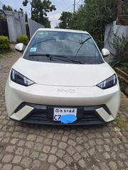 BYD Seagull 2025 White for sale