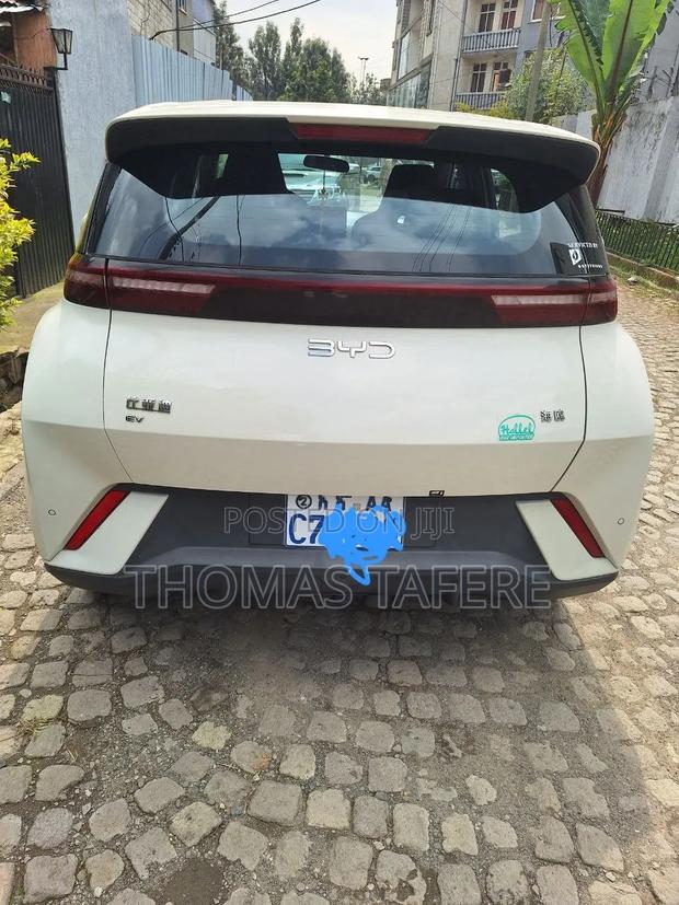 BYD Seagull 2025 White