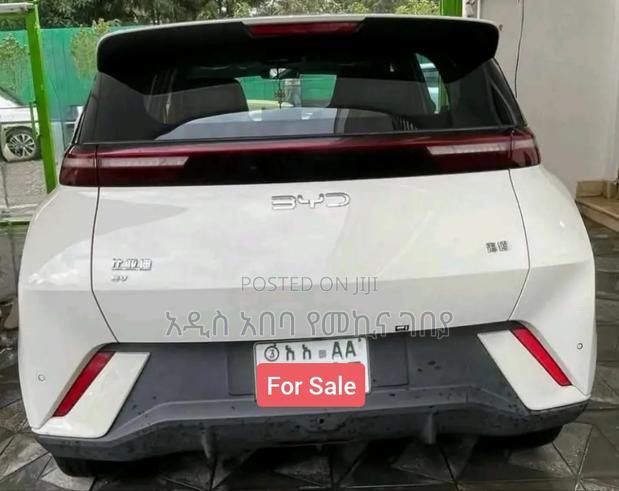 BYD Seagull 38 kWh FWD 2024 White