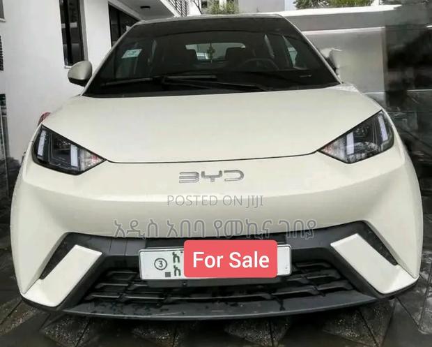 BYD Seagull 38 kWh FWD 2024 White