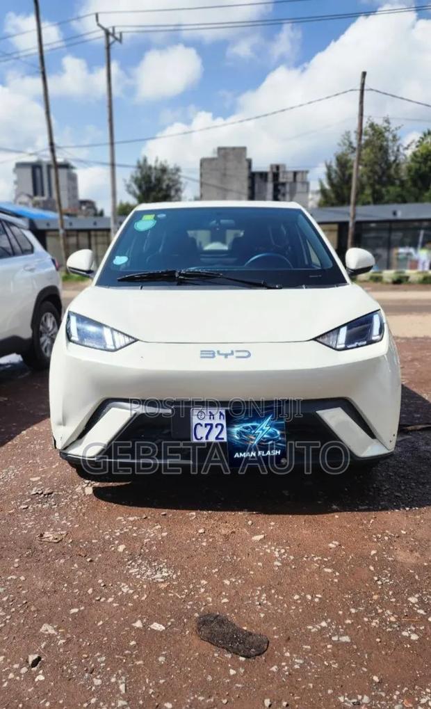 BYD Seagull 2025