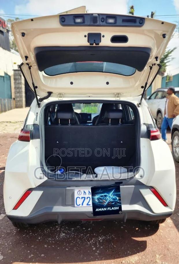 BYD Seagull 2025