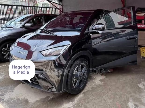 BYD Seagull 2024 Black