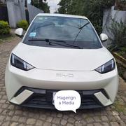 BYD Seagull 2025 White for sale