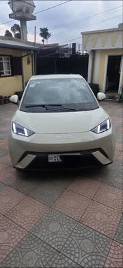 BYD Seagull 2025 Silver for sale