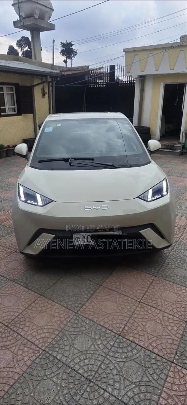 BYD Seagull 2025 Silver