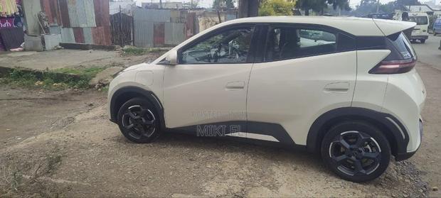 BYD Seagull 2025 White