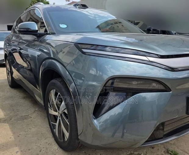 BYD Song L DM-i 2025 Green