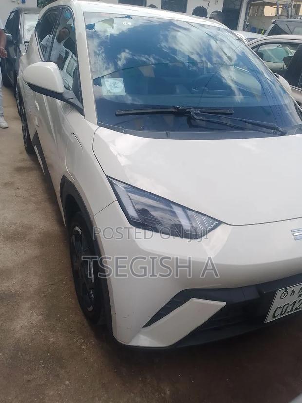 New BYD Seagull 2025 White