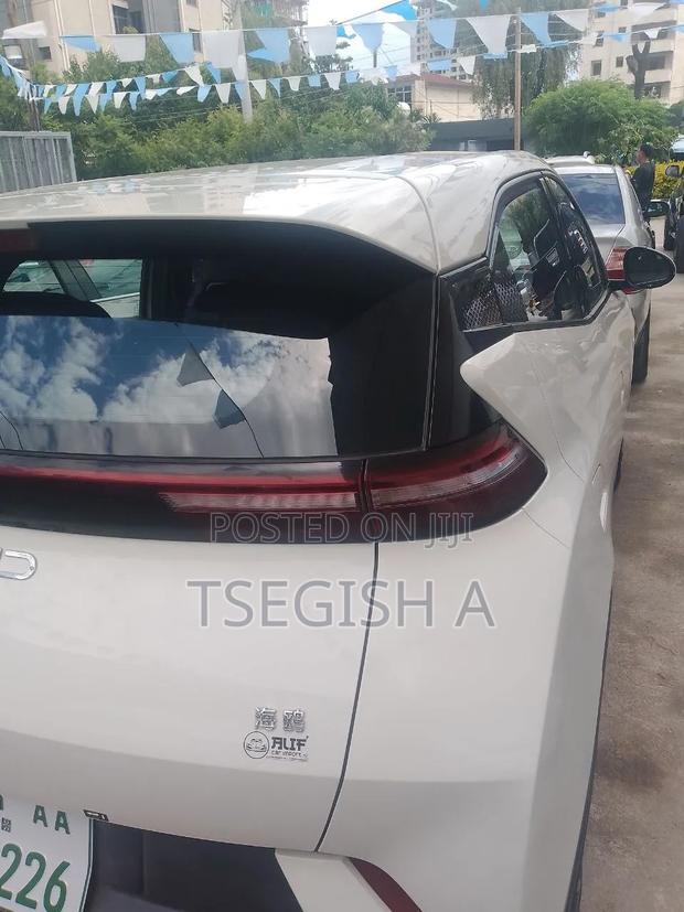 New BYD Seagull 2025 White