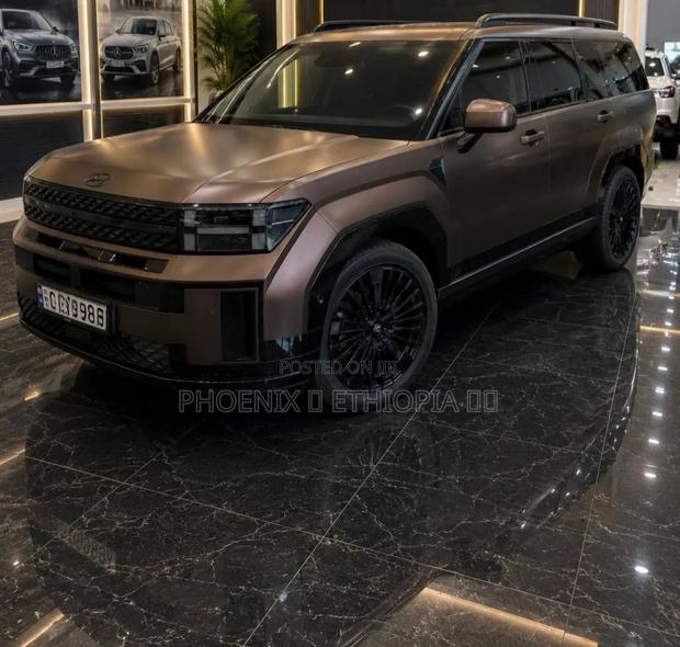 Hyundai Santa Fe 2024 Brown