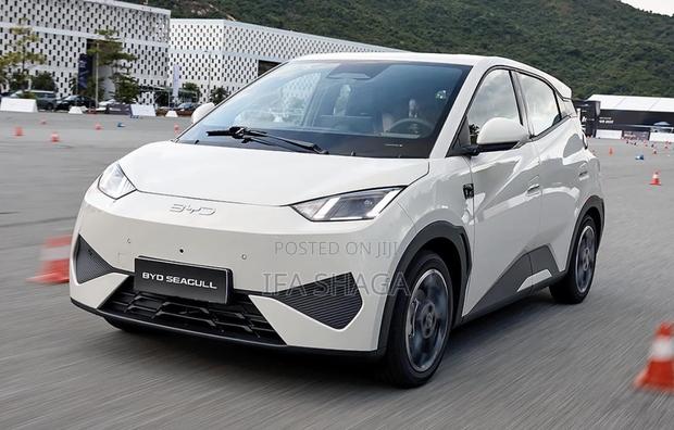 New BYD Seagull 2025 Pearl