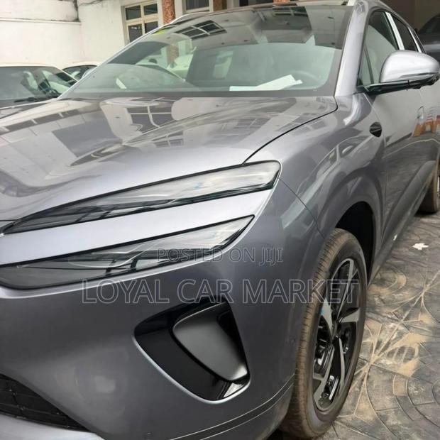 New BYD Sealion 06 EV 2025 Gray