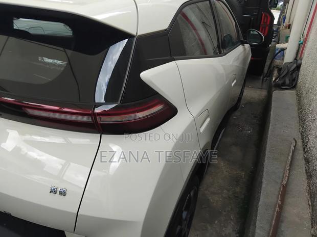 New BYD Seagull 2024 White