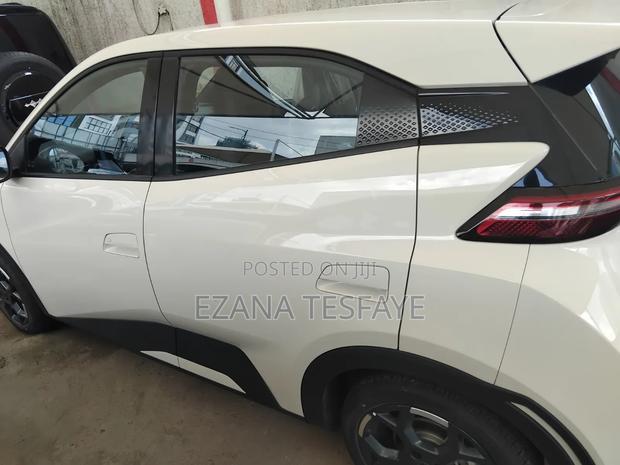New BYD Seagull 2024 White