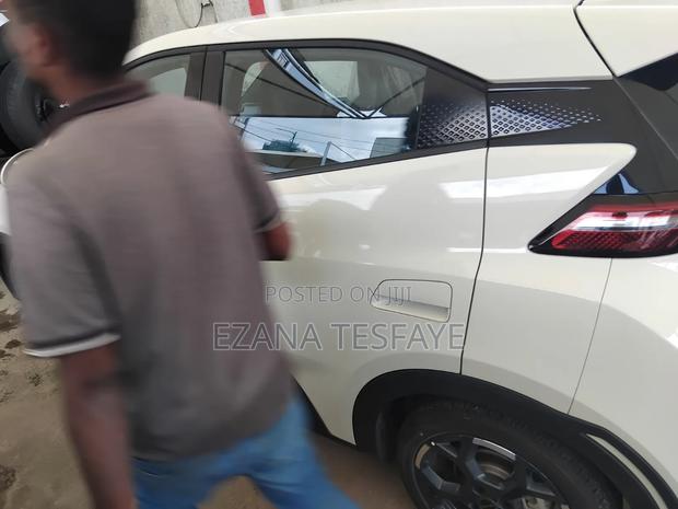 New BYD Seagull 2024 White