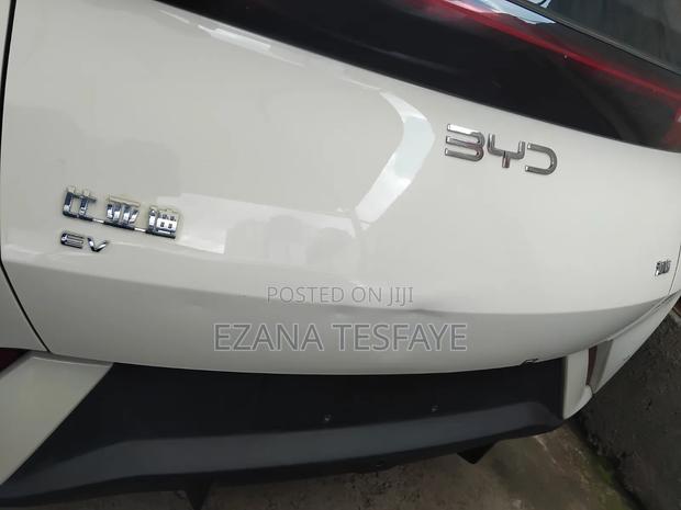 New BYD Seagull 2024 White