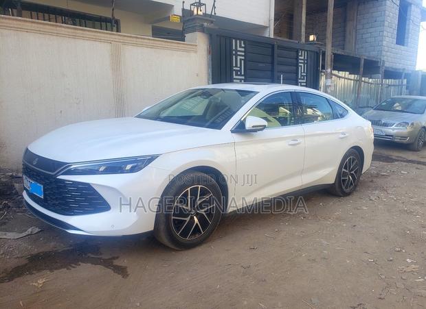BYD Qin Plus DM-i 2024 White