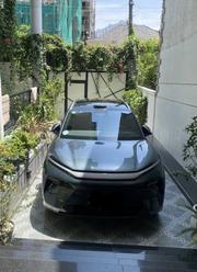 BYD Tang EV 2025 Green for sale
