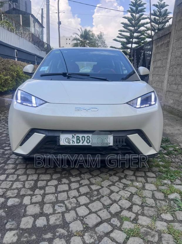 BYD Seagull 2025 White