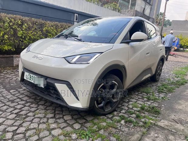 BYD Seagull 2025 White