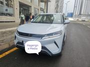 BYD Yuan Up 2024 Ivory for sale