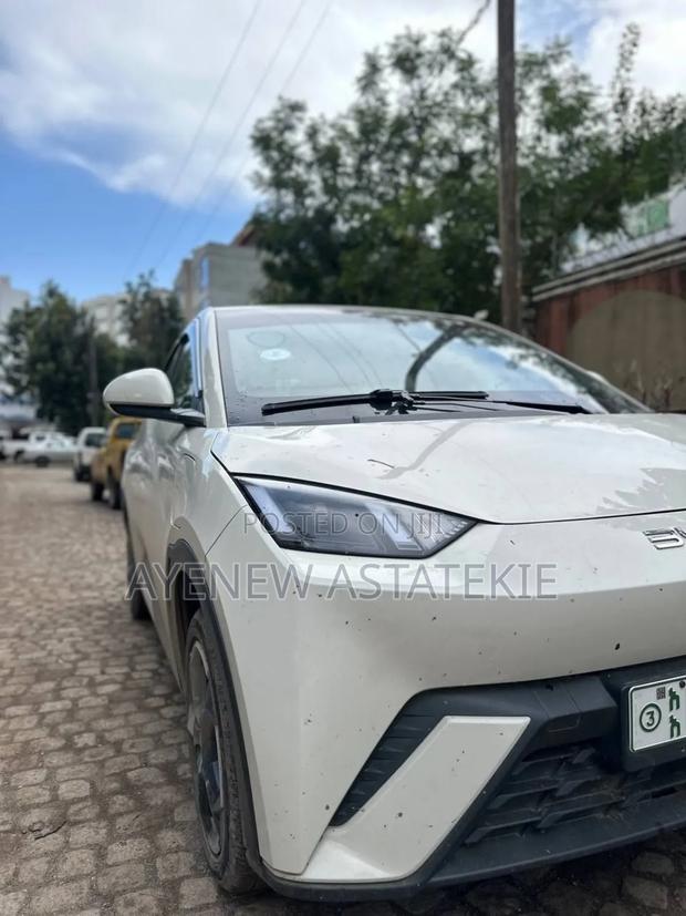 BYD Seagull 2024 Gray