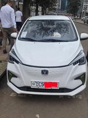 Changan BenBen 2023 White for sale