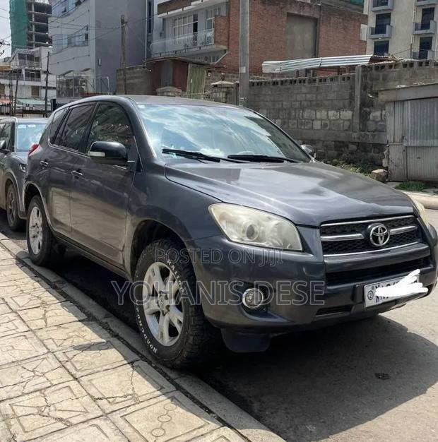 Toyota RAV4 2010 Gray