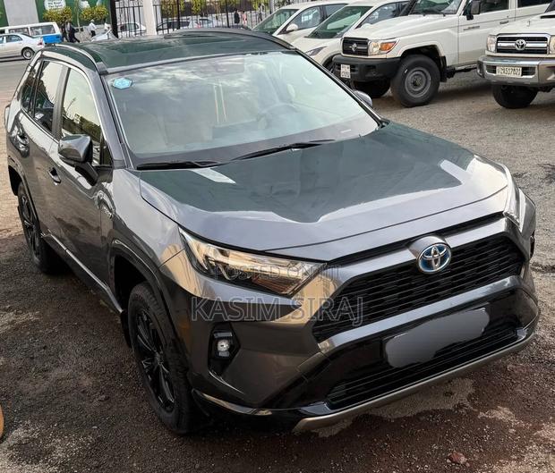 Toyota RAV4 2023 Gray