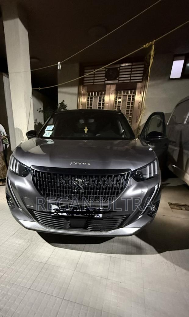 Peugeot 2008 2022 Gray