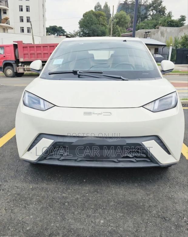 BYD Seagull 2024 Gray