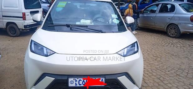 BYD Seagull 2024 White