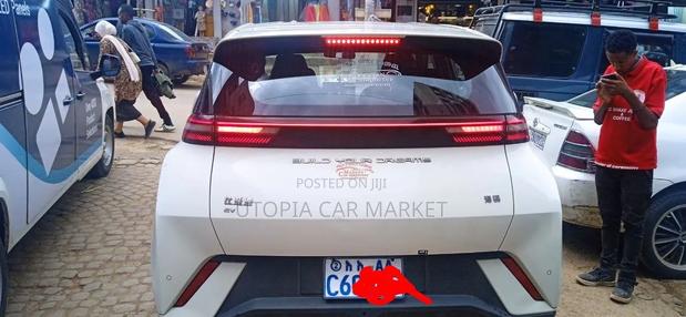 BYD Seagull 2024 White