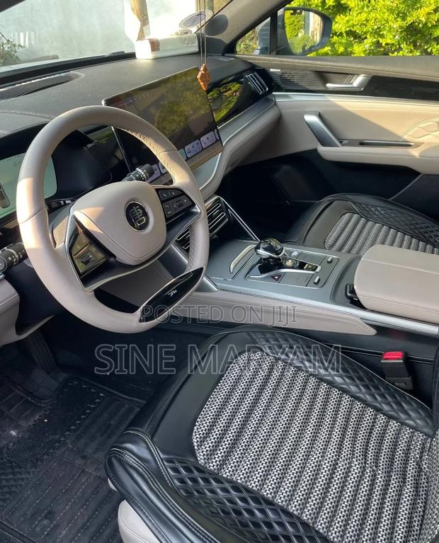 New BYD Tang EV 2024 Gray