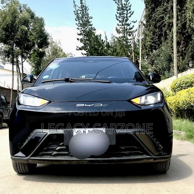 BYD Seagull 2024 Black