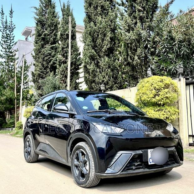 BYD Seagull 2024 Black