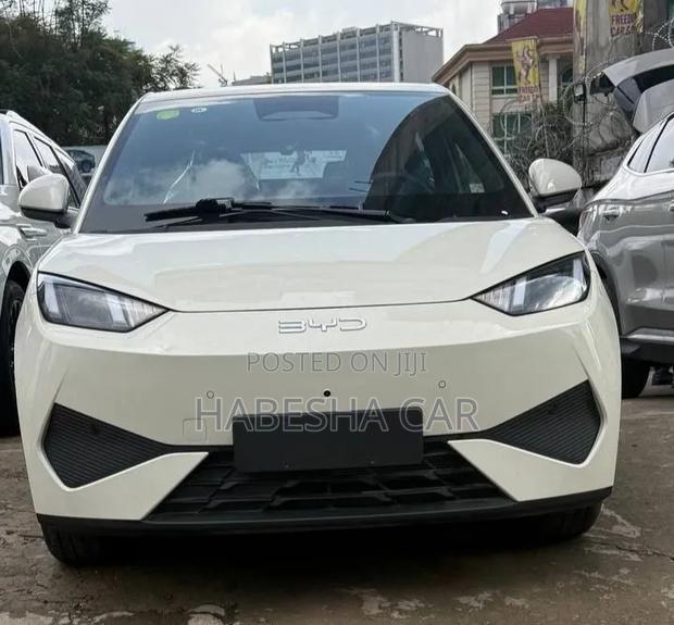 New BYD Seagull 2025