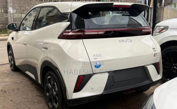 New BYD Seagull 2025