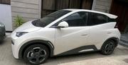 BYD Seagull 2025 Ivory for sale