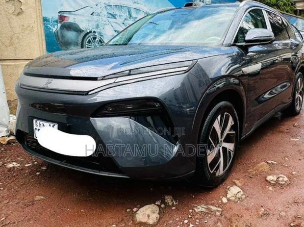 BYD Tang DM-i 2025 Silver