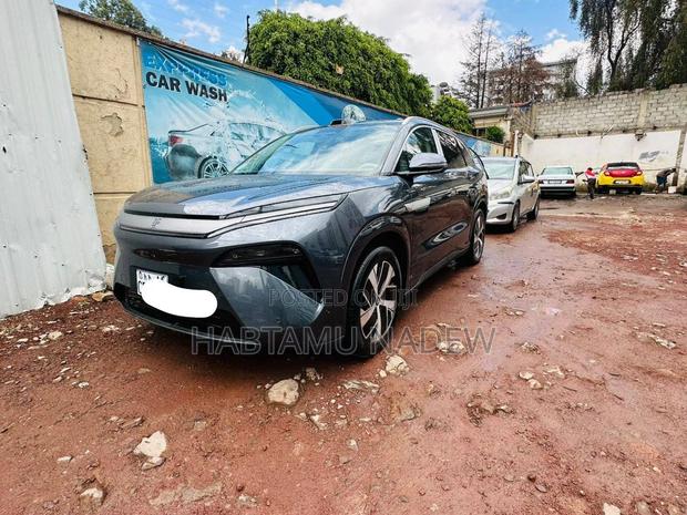 BYD Tang DM-i 2025 Silver