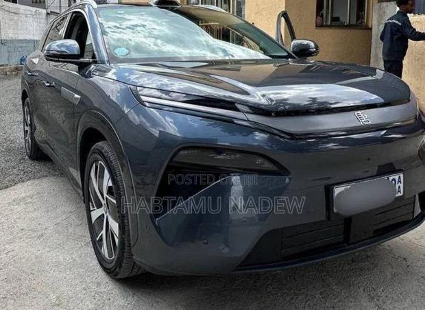 BYD Tang DM-i 2025 Silver