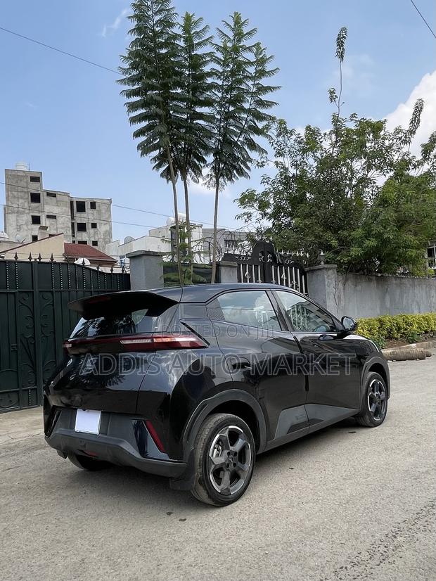 BYD Seagull 2024 Gray