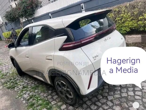 BYD Seagull 2025 White