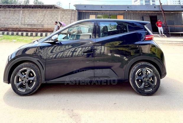 New BYD Seagull 2024 Black