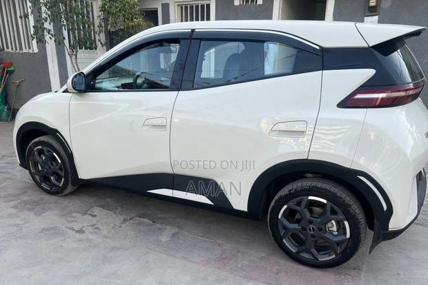BYD Seagull 2024 White